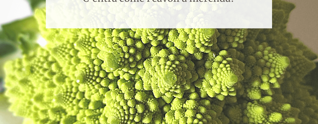il broccolo romanesco ha una struttura molto affascinante