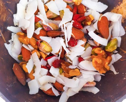 dieta chetogenica spuntino con chips di cocco noci mandorle pistacchi bacche di goji